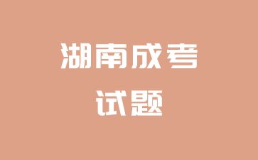 2024年湖南成考專升本《英語》動詞不定式用法（4）